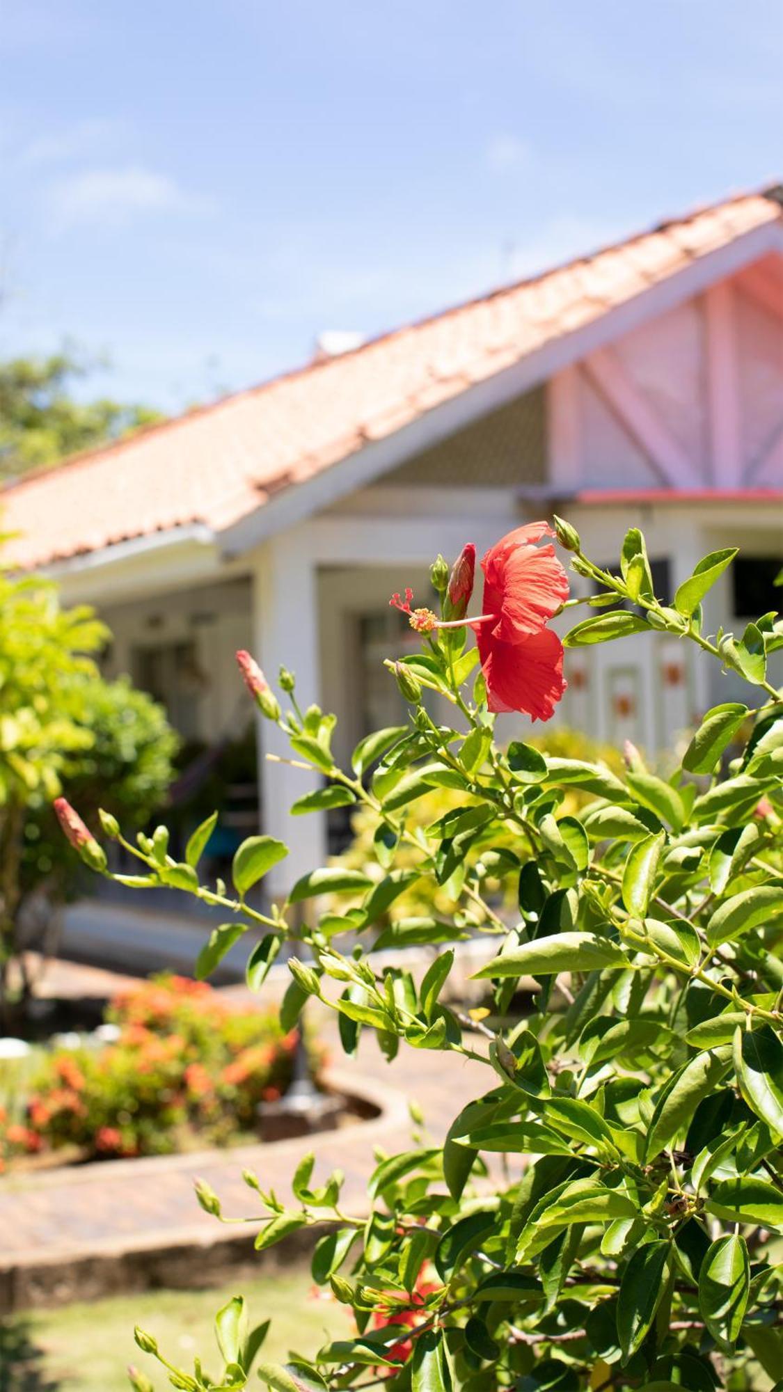 Hosteria Mar Y Sol San Andres  Exterior photo